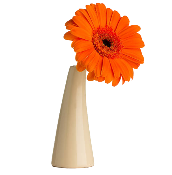 Modern Ceramic Vase Thumbnail